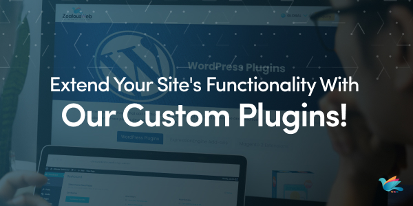Extend Your Site's Functionality With Our Custom Plugins!